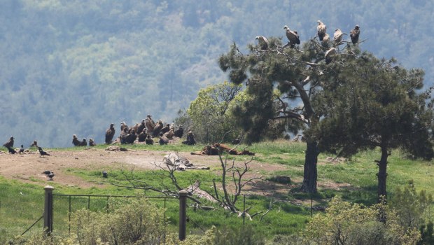 Στο μικροσκόπιο ΕΕ, ΕΔΕΛ και Ελεγκτικού Συνεδρίου το πρόγραμμα Antinero – «Χάνονται» 30 εκατ. ευρώ από το Ταμείο Ανάκαμψης