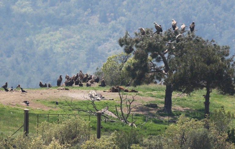 Στο μικροσκόπιο ΕΕ, ΕΔΕΛ και Ελεγκτικού Συνεδρίου το πρόγραμμα Antinero – «Χάνονται» 30 εκατ. ευρώ από το Ταμείο Ανάκαμψης
