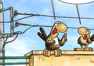 Αρκάς: H καλημέρα της Κυριακής