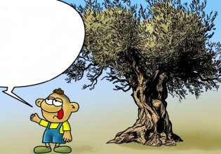 Αρκάς: Χρόνια πολλά στους ελαιοπαραγωγούς και τις ελιές τους