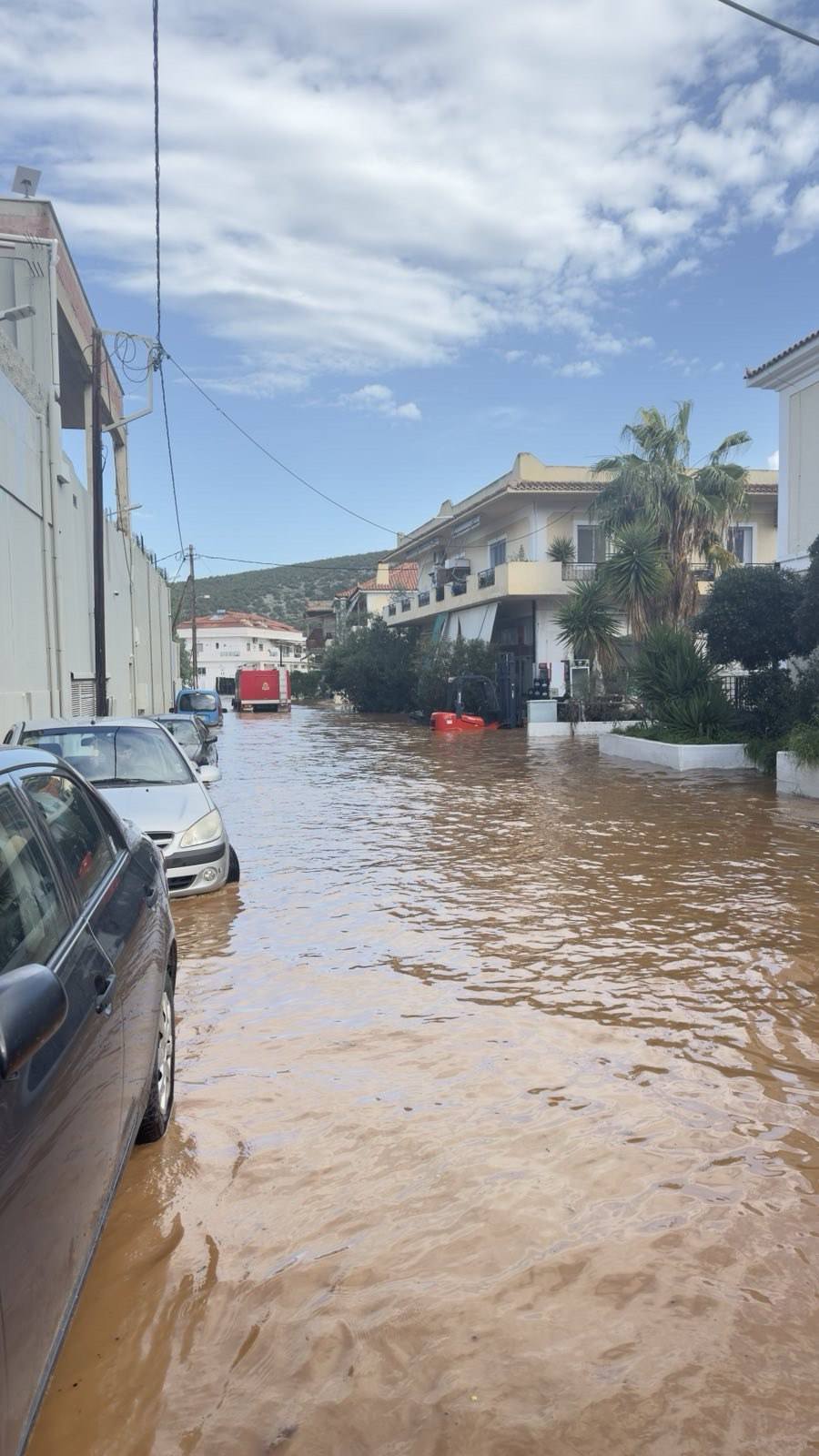 Δήμαρχος Ερμιονίδας: Μέσα σε 7 ώρες έπεσαν 110 τόνοι νερού ανά στρέμμα