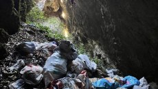 Κτηνωδία στο Πήλιο: Πέταξαν κουτάβια σε γκρεμό – Σώθηκε μόνο ένα