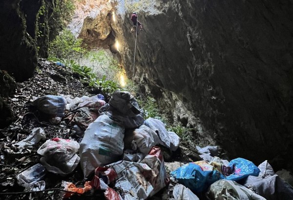 Κτηνωδία στο Πήλιο: Πέταξαν κουτάβια σε γκρεμό – Σώθηκε μόνο ένα