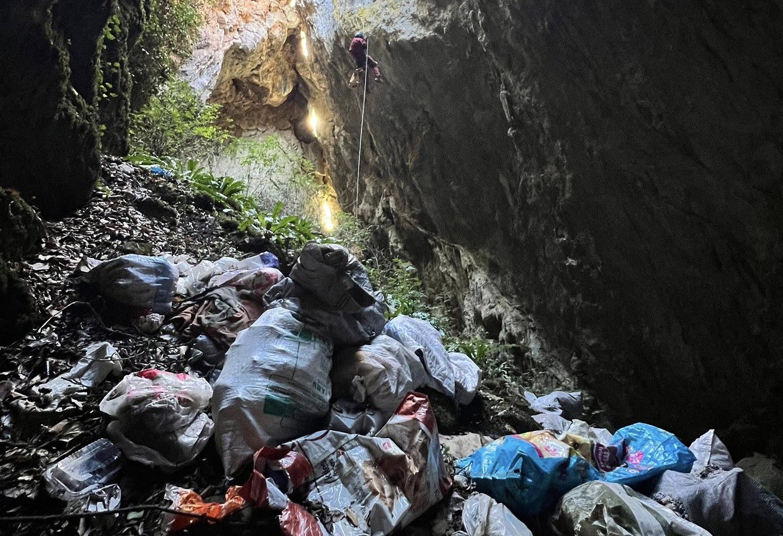 Κτηνωδία στο Πήλιο: Πέταξαν κουτάβια σε γκρεμό – Σώθηκε μόνο ένα