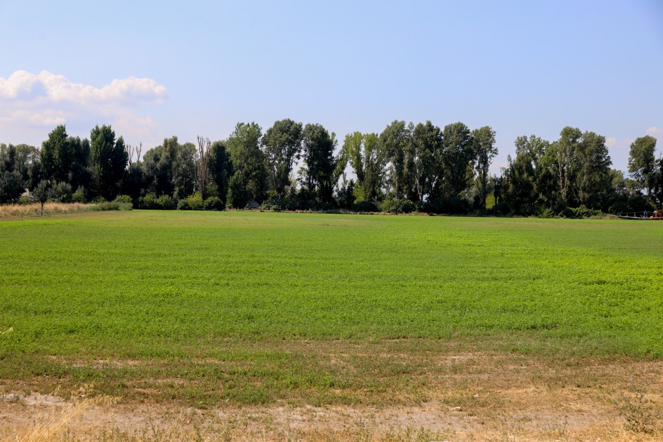 Σπορά… σε άγονο έδαφος – Οι άκαρπες επενδύσεις στη γεωργία [γραφήματα]