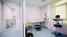 Ανατροπή στην υπόθεση της 14χρονης στο Μενίδι – Τι λέει ο ιατροδικαστής για τον ξυλοδαρμό