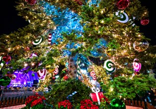 Πότε θα φωταγωγηθεί το χριστουγεννιάτικο δέντρο του Συντάγματος