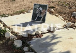 Ηράκλειο: Η σκυλίτσα που έθαψαν μέσα στο χώρο του αεροδρομίου