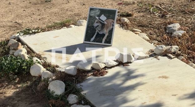 Ηράκλειο: Η σκυλίτσα που έθαψαν μέσα στο χώρο του αεροδρομίου