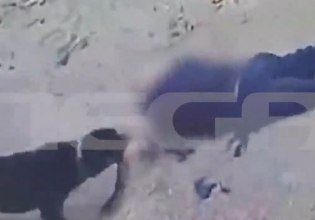 Καλαμάτα: Σε κρίσιμη κατάσταση ο 76χρονος που δέχθηκε επίθεση από το σκυλί του