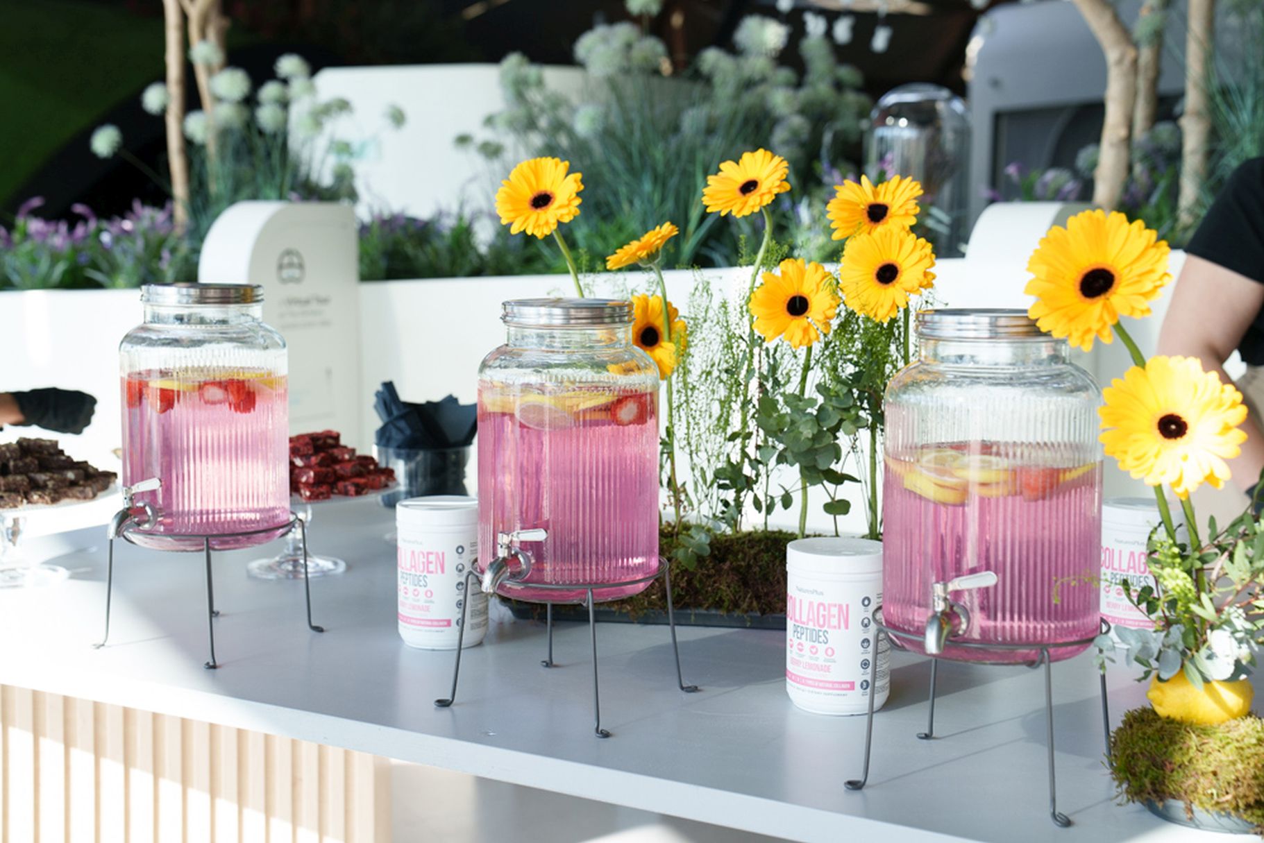 «Feel the Nature Experience»: Η NaturesPlus ενώνει τη δύναμη της φύσης με την ακρίβεια της επιστήμης