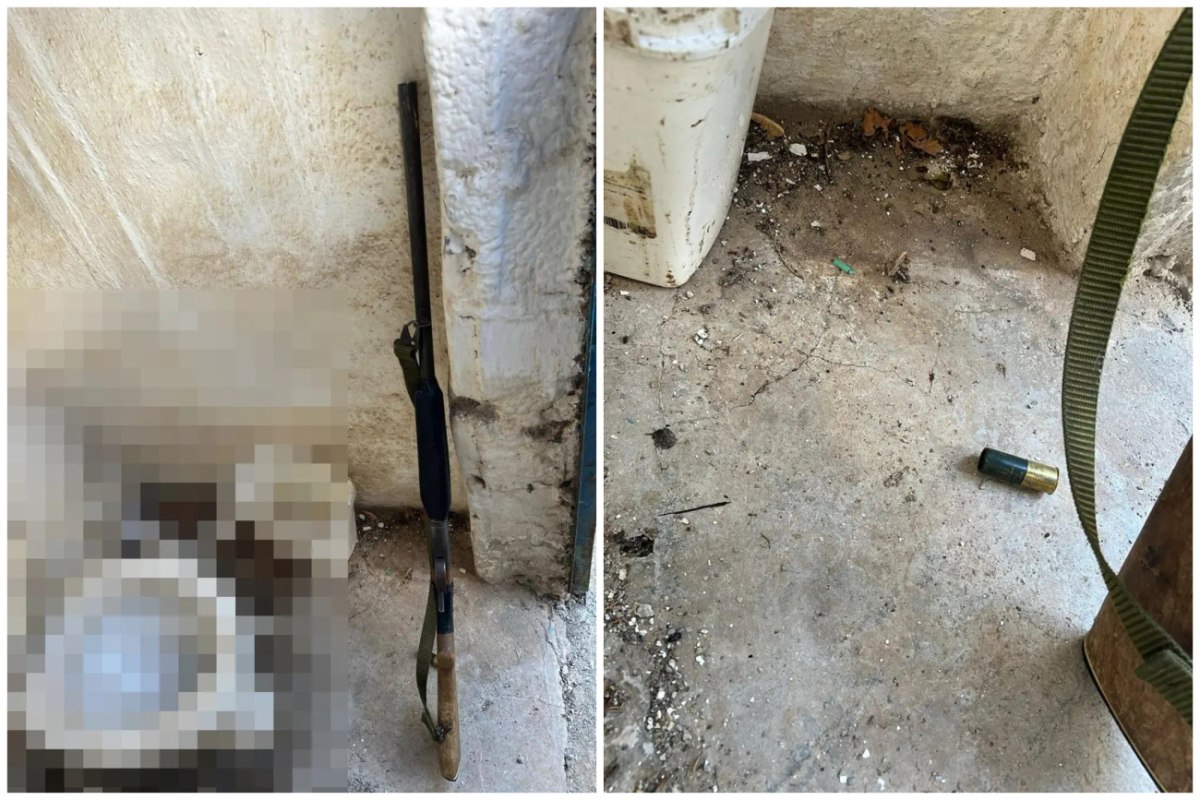 Βορίζια: «Βρέθηκε στο λάθος σημείο τη λάθος ώρα» λέει η φίλη της 56χρονης