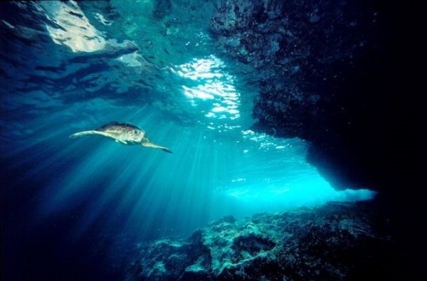 Το υποβρύχιο αξιοθέατο του Δήμου Δελφών