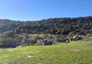 Θλιβερές εικόνες από την απόρριψη απορριμμάτων στο περιβάλλον-Αγώνας δρόμου της δημοτικής Αρχής