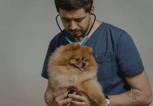 Οι δυσκολίες που αντιμετωπίζει ο κτηνίατρος και ο αντίκτυπος στην ψυχοσύνθεσή του