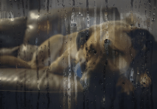 Άνοιξαν οι ουρανοί και ο σκύλος φοβάται – Τι δεν πρέπει να κάνουμε για να μην ενισχύσουμε τον φόβο