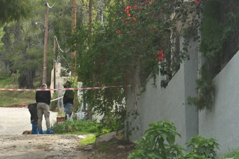 Σαλαμίνα: Τα «μοιραία» λάθη της 46χρονης που σκότωσε την πεθερά της