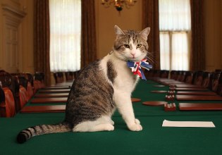 Οι κυβερνήσεις πέφτουν, ο Λάρι μένει: Τηλεοπτικός σταρ ο γάτος της Ντάουνινγκ Στριτ – «Ουρές στη Βρετανία»