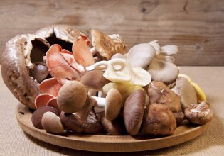 Ο γιος του ζευγαριού που δηλητηριάστηκε από μανιτάρια μιλά στο in: «Η κατάστασή τους είναι κρίσιμη»