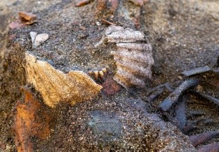 Το πιο παράξενο μυστικό των Βίκινγκ: Γυναίκα βρέθηκε με δύο όστρακα στο στόμα – Κανείς δεν ξέρει γιατί