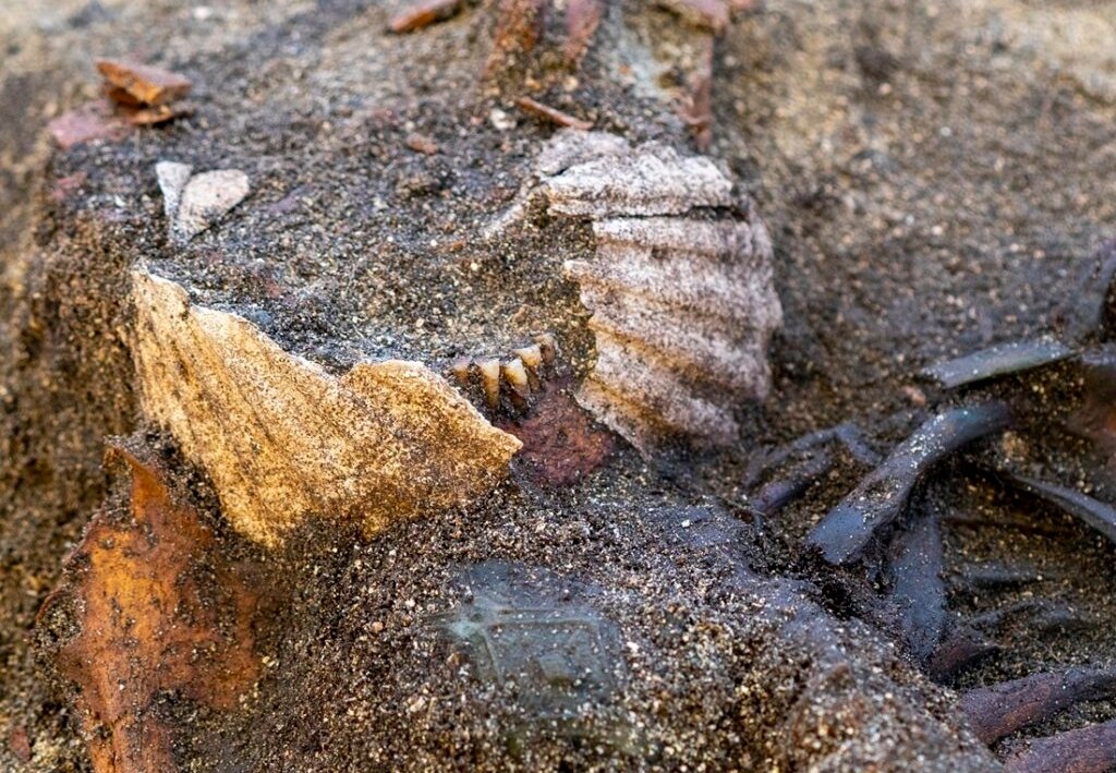 Το πιο παράξενο μυστικό των Βίκινγκ: Γυναίκα βρέθηκε με δύο όστρακα στο στόμα – Κανείς δεν ξέρει γιατί