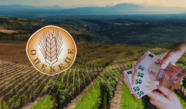 Κάτρης (Cognitera) στην εξεταστική της Βουλής: λυσσαλέες αντιδράσεις στον ΟΠΕΚΕΠΕ για τη μετάβαση στο gov.gr