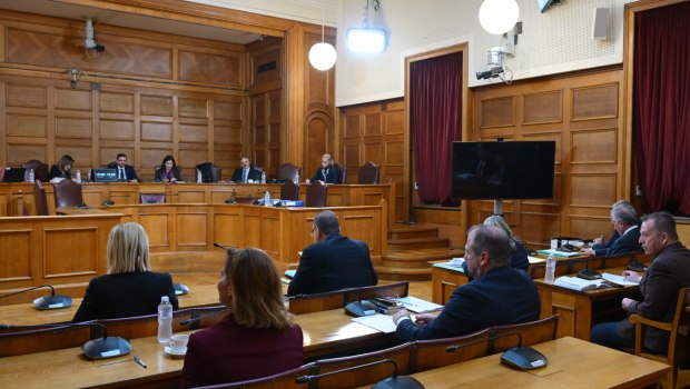 ΟΠΕΚΕΠΕ: Με φραπέ, χασάπη, Μυλωνάκη και Σκέρτσο οι επόμενες συνεδριάσεις της εξεταστικής