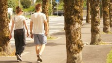 Ποιότητα ή ποσότητα: Τι μετράει περισσότερο στο περπάτημα;