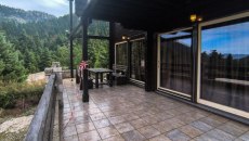 Δολοφονία Λάλα: Παλιός γνώριμος των Αρχών ο ένας από τους συλληφθέντες – Βρέθηκαν 8 όπλα και πάνω από 100.00 ευρώ