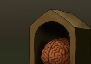 Αρκάς: Η καλημέρα της Παρασκευής