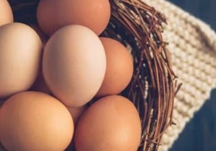 Η γρίπη των πτηνών φέρνει κρίση των αυγών