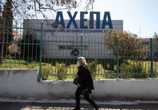 Θεσσαλονίκη: Ζευγάρι έφαγε μανιτάρια και νοσηλεύεται σε κρίσιμη κατάσταση – Ψάχνουν μοσχεύματα