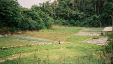 Ευρωβουλευτές επιχειρούν να μπλοκάρουν την υπογραφή της συμφωνίας ΕΕ-Mercosur