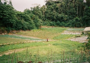 Ευρωβουλευτές επιχειρούν να μπλοκάρουν την υπογραφή της συμφωνίας ΕΕ-Mercosur