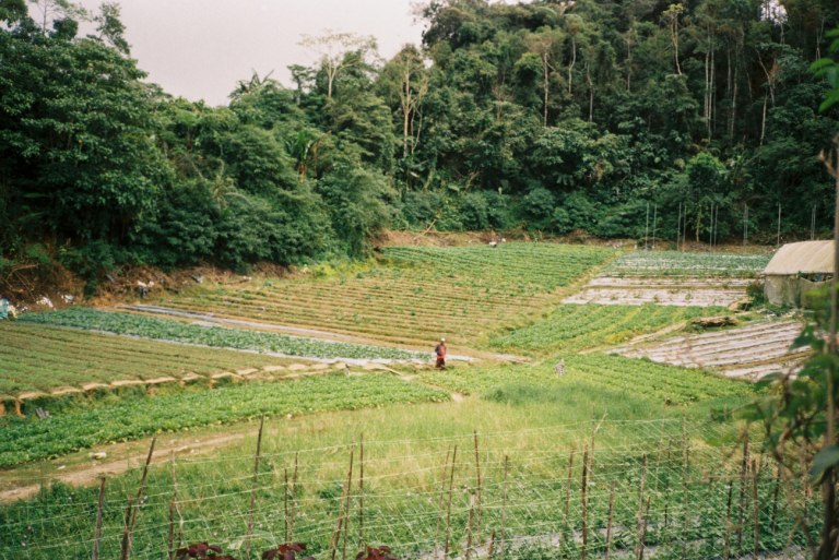 Ευρωβουλευτές επιχειρούν να μπλοκάρουν την υπογραφή της συμφωνίας ΕΕ-Mercosur