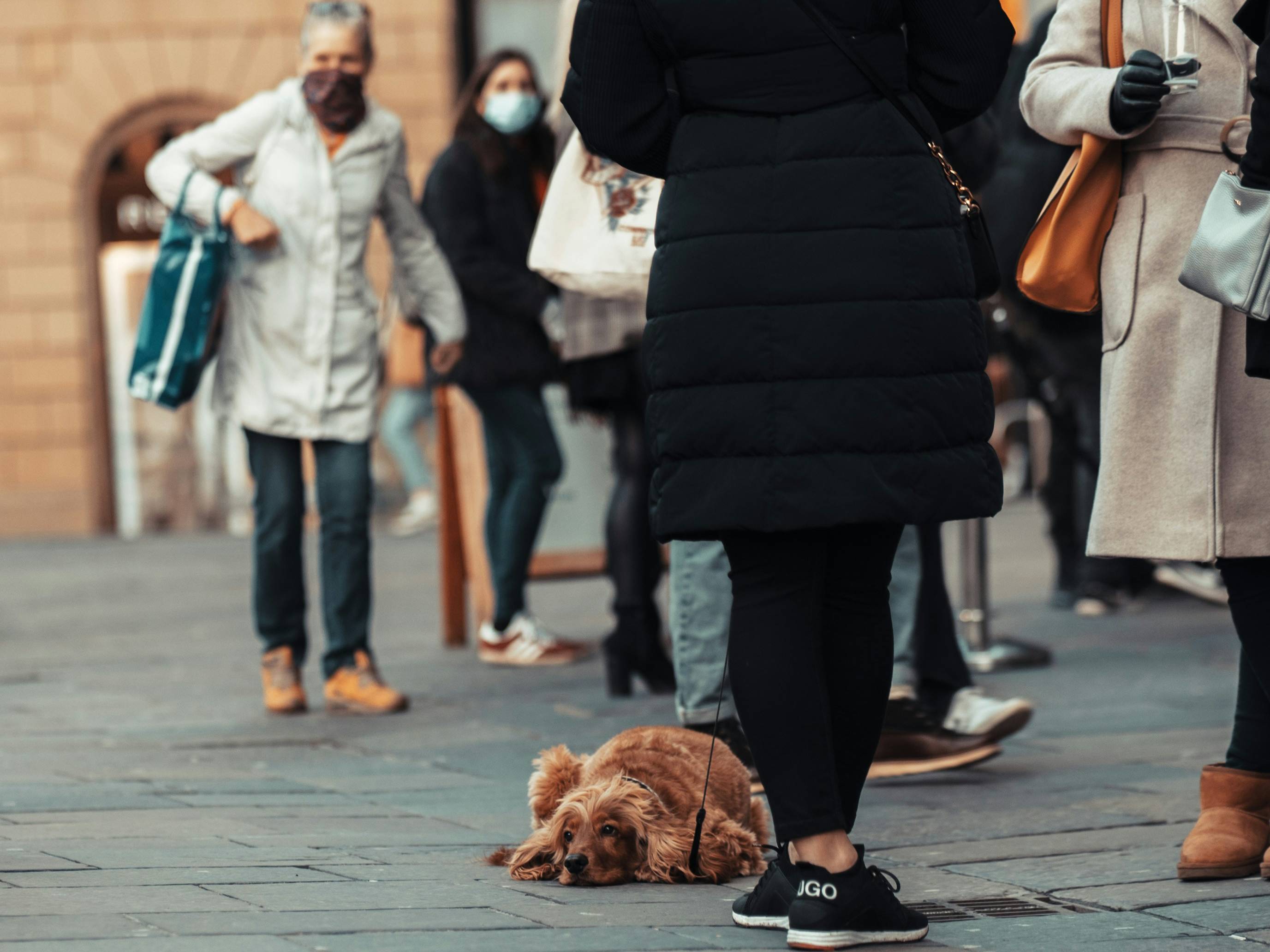 Ακόμη και τα ζώα αισθάνονται πλήξη
