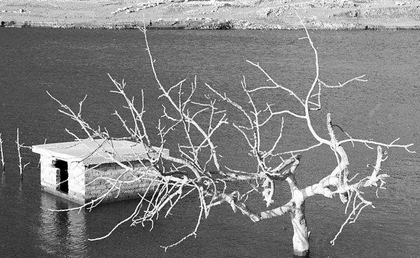 ΠΑΣΟΚ στο Μαξίμου: Σταματήστε να εργαλειοποιείτε την υπαρκτή κρίση της λειψυδρίας – Φέρετε ακέραια την ευθύνη