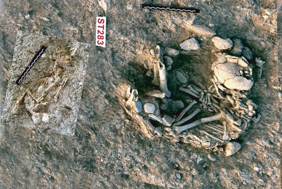 Οστά γάτας ανακαλύφθηκαν θαμμένα μαζί με έναν ανθρώπινο σκελετό 9.500 ετών στον Σιλλουρόκαμπο της Κύπρου το 2004 (ΑΠΕ-ΜΠΕ)