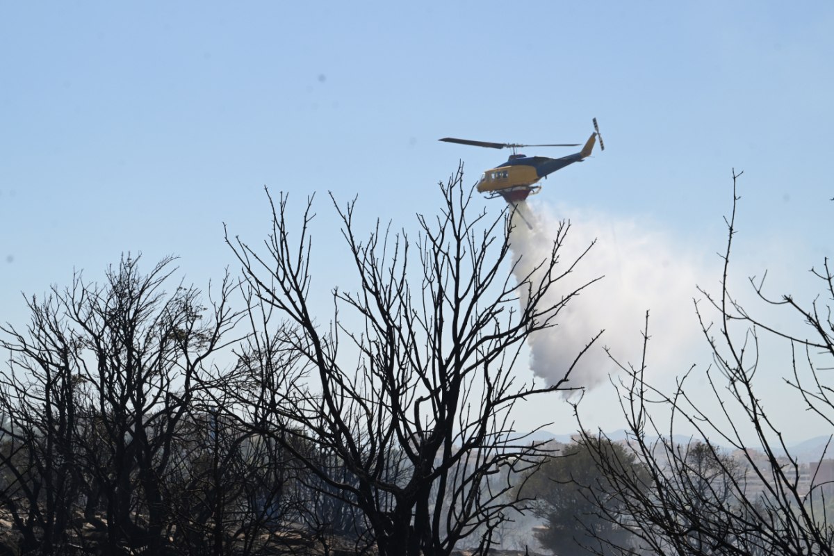 Ελεγκτικό Συνέδριο: Οι «κίτρινες κάρτες» για τις αναδασώσεις – Οι ενστάσεις και η φετινή αντιπυρική περίοδος
