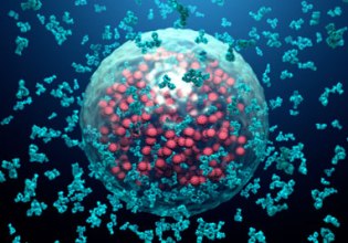 Η ανοσοθεραπεία άλλαξε την εικόνα των καρκίνων πνεύμονα και μαστού