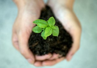 Από το περιβάλλον στην ισότιμη πρόσβαση: Πώς η Bayer Ελλάς επενδύει στη βιωσιμότητα με πράξεις