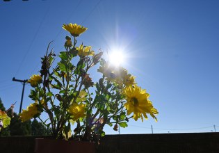 Καιρός: Έως τους 23 βαθμούς η θερμοκρασία το Σάββατο – Έρχεται αφρικανική σκόνη από την Κυριακή