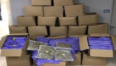 Ηγουμενίτσα: Νταλίκα γεμάτη κάνναβη εντοπίστηκε στο λιμάνι – Συνελήφθη ο 58χρονος οδηγός