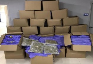 Ηγουμενίτσα: Νταλίκα γεμάτη κάνναβη εντοπίστηκε στο λιμάνι – Συνελήφθη ο 58χρονος οδηγός