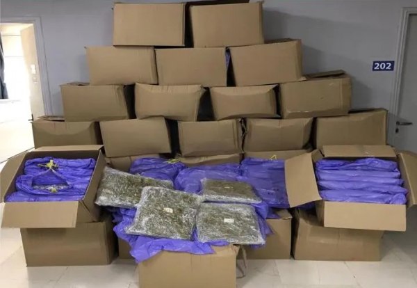 Ηγουμενίτσα: Νταλίκα γεμάτη κάνναβη εντοπίστηκε στο λιμάνι – Συνελήφθη ο 58χρονος οδηγός