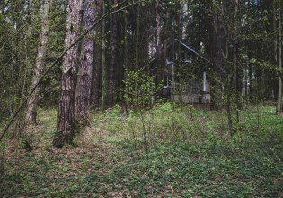 Θύελλα αντιδράσεων μετά την απομάκρυνση των παιδιών της οικογένεια που ζούσε απομονωμένη σε δάσος στην Ιταλία