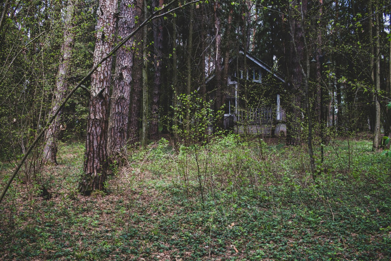 Θύελλα αντιδράσεων μετά την απομάκρυνση των παιδιών της οικογένεια που ζούσε απομονωμένη σε δάσος στην Ιταλία