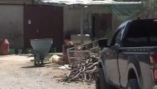 Ρέθυμνο: Βεντέτα πίσω από την επίθεση εναντίον κτηνοτρόφου – Του είχαν κόψει τη γλώσσα με ψαλίδι