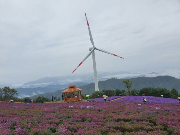 Κίνα: Πώς η ενεργειακή της επανάσταση θα αλλάξει τις αγορές και την παγκόσμια οικονομία