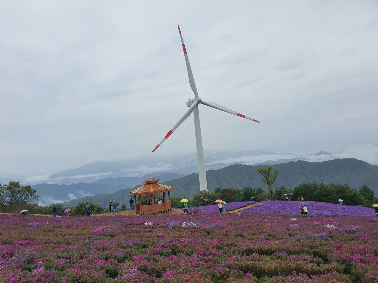 Κίνα: Πώς η ενεργειακή της επανάσταση θα αλλάξει τις αγορές και την παγκόσμια οικονομία